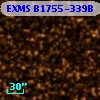 EXMS B1755-339B