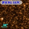 [PSC95] 117C