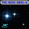 TYC 4255-1031-1