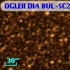 OGLEII DIA BUL-SC27    245