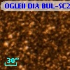 OGLEII DIA BUL-SC27   1421