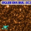OGLEII DIA BUL-SC27   3111