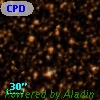 CPD-36  7919