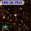 CPD-36  7937