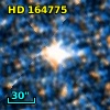 HD 164775
