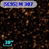 [SC95] M 307