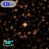 CD-34 12537