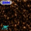 [DHM99] LI1116