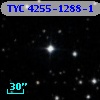 TYC 4255-1288-1