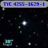 TYC 4255-1629-1