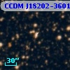 CCDM J18202-3601B