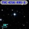 TYC 4256-895-1