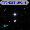 TYC 4256-902-1