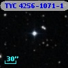 TYC 4256-1071-1