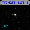 TYC 4256-1175-1
