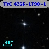 TYC 4256-1790-1