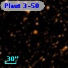 Plaut 3-50