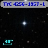 TYC 4256-1957-1