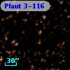 Plaut 3-116