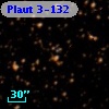 Plaut 3-132