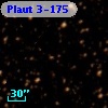 Plaut 3-175