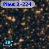Plaut 3-224
