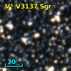 V* V3137 Sgr