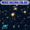 IRAS 18244-3616