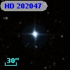 HD 202047