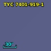 TYC 7401-919-1
