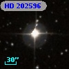 HD 202596