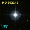 HD 202142