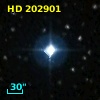 HD 202901