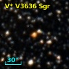 V* V3636 Sgr