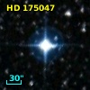 HD 175047