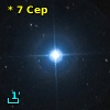 *   7 Cep