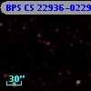 BPS CS 22936-0229