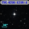 TYC 4256-1218-1