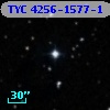 TYC 4256-1577-1