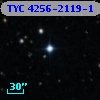 TYC 4256-2119-1