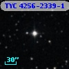 TYC 4256-2339-1