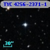 TYC 4256-2371-1