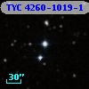 TYC 4260-1019-1