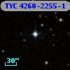 TYC 4260-2255-1