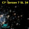 Cl* Terzan    7     SL      34