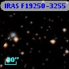 IRAS F19250-3255