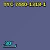 TYC 7440-1318-1