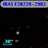 IRAS F20228-2902