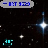 ** BRT  9529