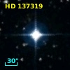HD 137319